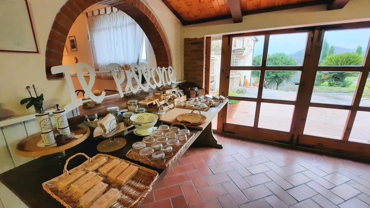 Agriturismo Il Pillone Монтекатіні-Терме Екстер'єр фото
