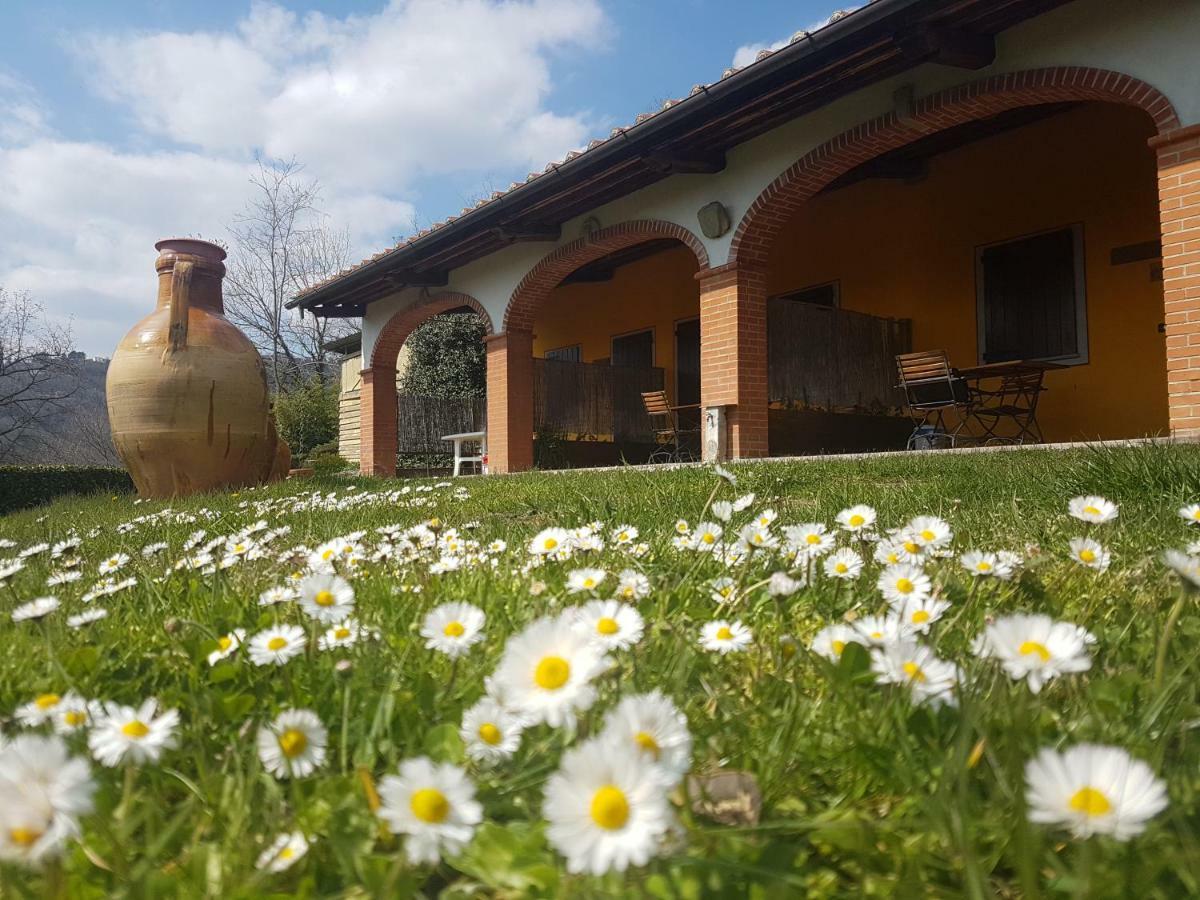 Agriturismo Il Pillone Монтекатіні-Терме Екстер'єр фото